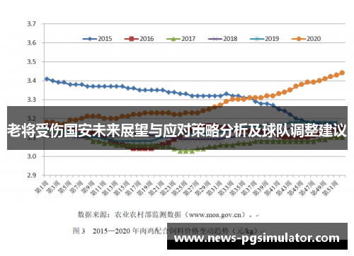 老将受伤国安未来展望与应对策略分析及球队调整建议