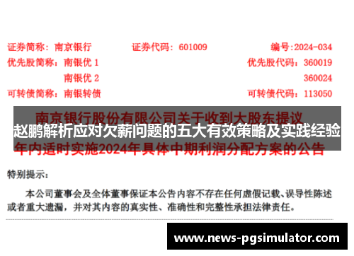 赵鹏解析应对欠薪问题的五大有效策略及实践经验